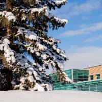 Lake Ontario Hall far away